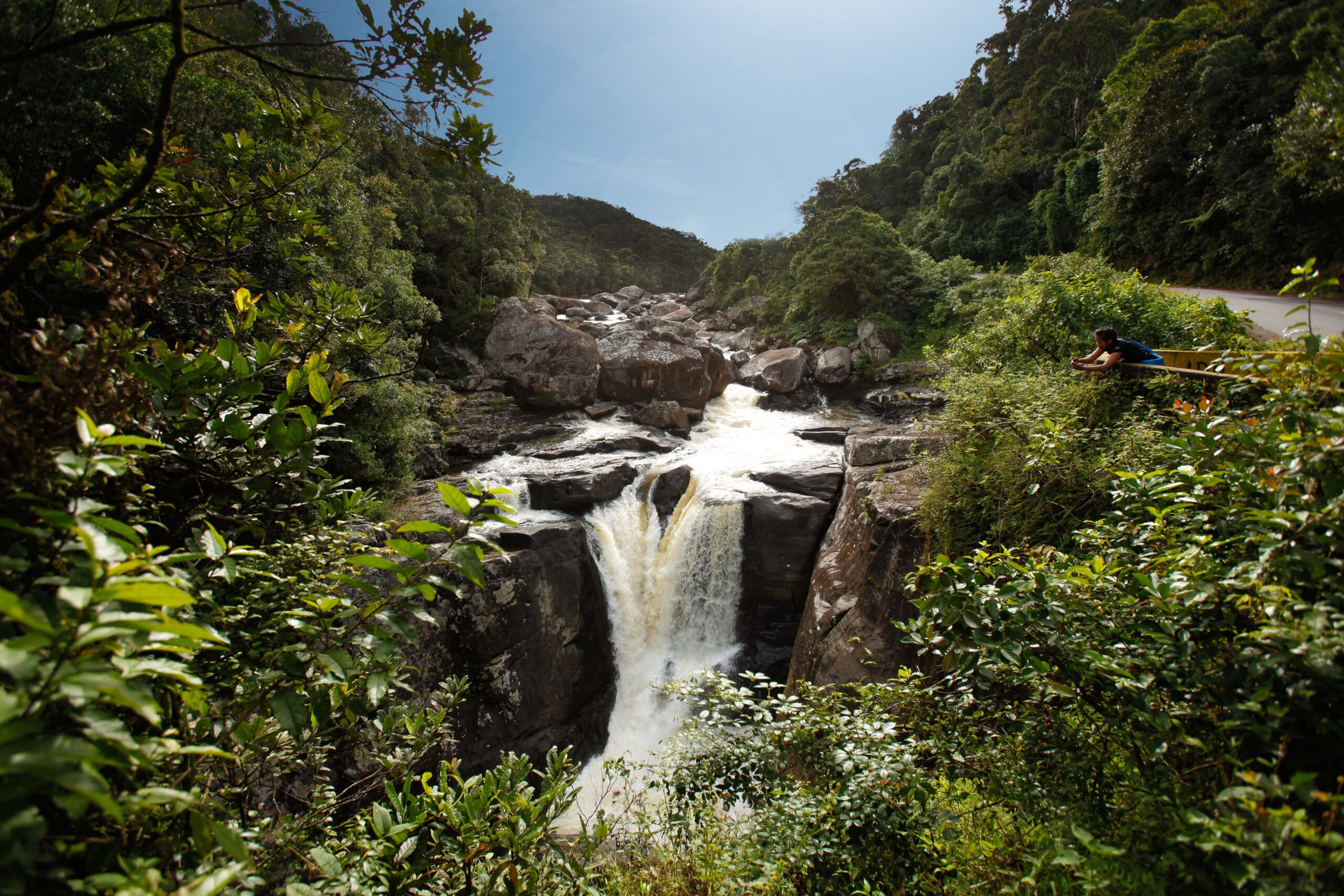 En allant à Manakara, faites une halte au parc national de Ranomafana